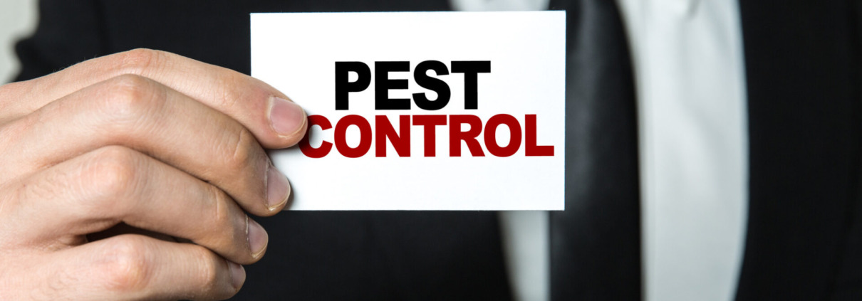 pest control service