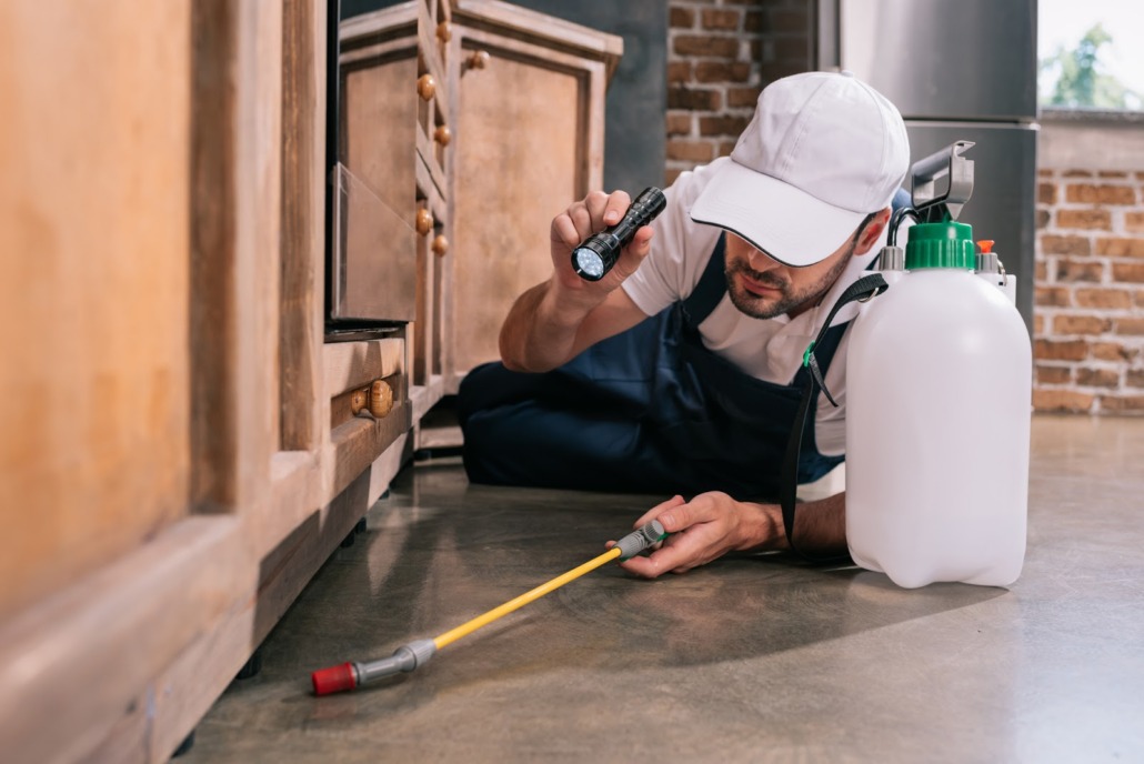 A pest control specialist laying on their side, holding a flashlight in one hand and a spraying wand in the other, looking for household pests under cabinetry.