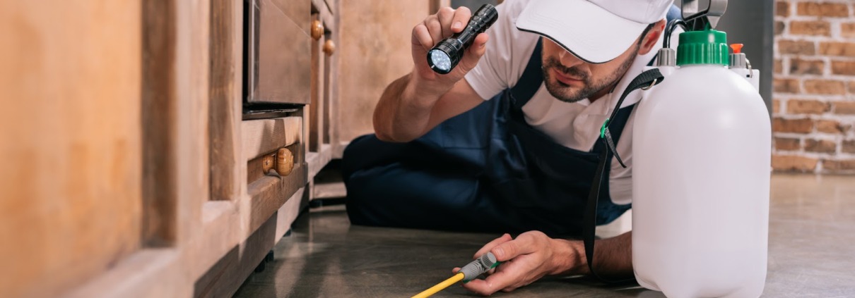 A pest control specialist laying on their side, holding a flashlight in one hand and a spraying wand in the other, looking for household pests under cabinetry.