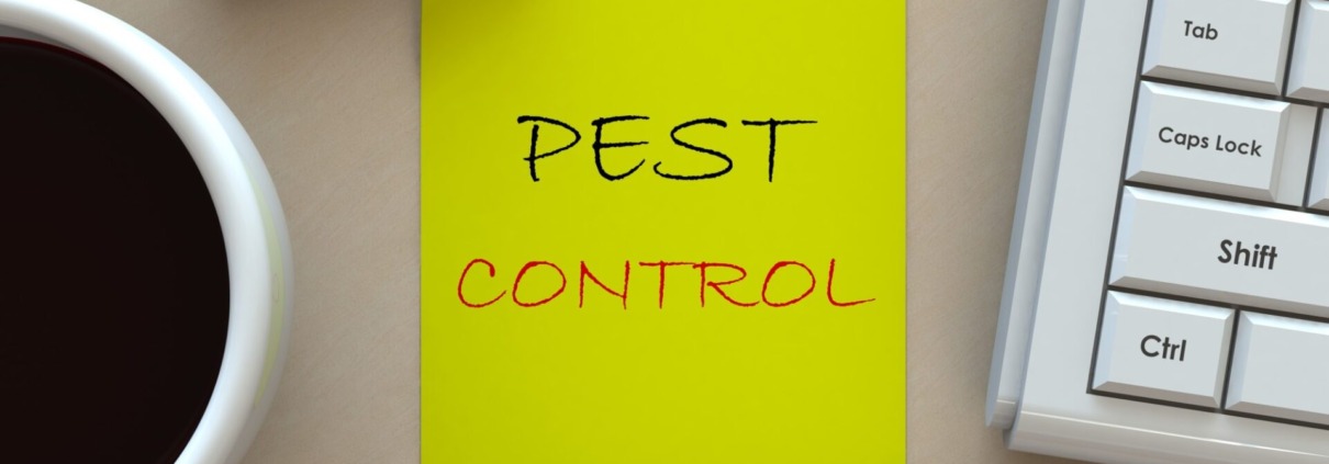 pest control service